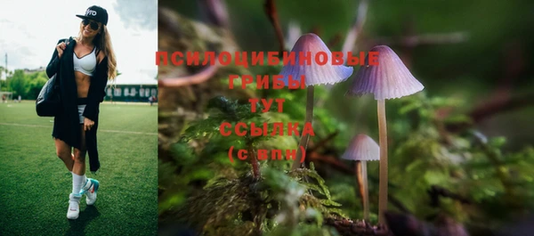 марки lsd Коряжма