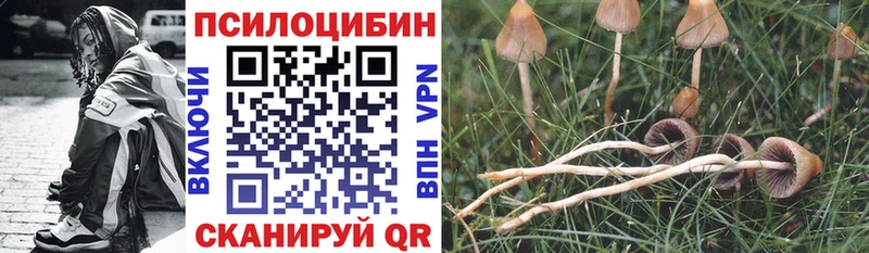 Купить закладки  Оленегорск  Галлюциногенные грибы Magic Shrooms 